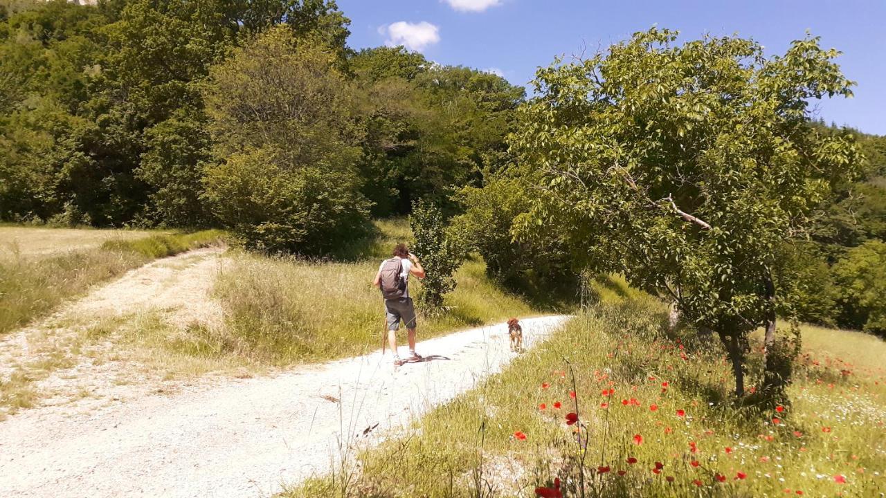 Agriturismo Marcofrate, A Retreat In The Nature Valtopina Buitenkant foto